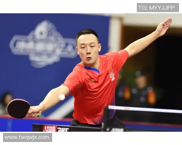 深圳乒乓球队展现实力最新乒乓球耐力TOP10榜单揭晓